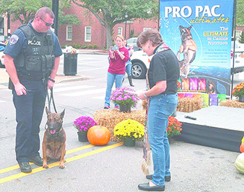 BLESSING OF THE ANIMALS...