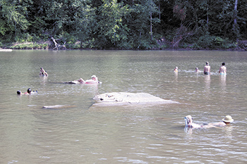 COOLING OFF AT THE BROAD RIVER GREENWAY