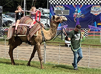 Camel Ride 