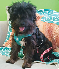 Meet Curly What a sweet guy!