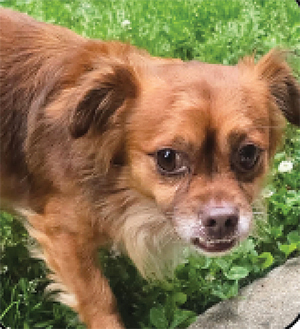 Meet Marley Super Sweet guy!