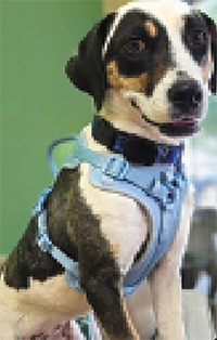Meet Truffles Sweet, Sweet, Girl! 