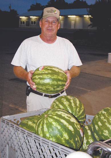 Everyone Likes A Good Cold Watermelon!