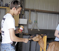 Crest FFA’s “Goat Tenders”