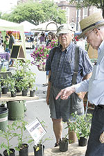 Foothills Farmers’ Market Offers Local Variety