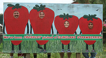 Become part of the crop at Clineland Strawberries!