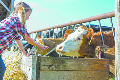 MAKE FARM SAFETY A PRACTICE...